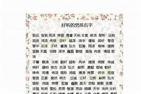 姓陳可以取什麼名字|【姓陳可以取什麼名字】「姓陳的寶寶起名大全——聰慧獨特的名。